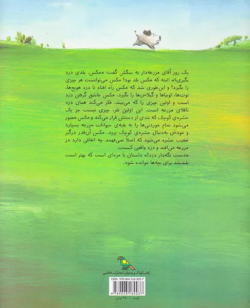 دست نگه دار دزد